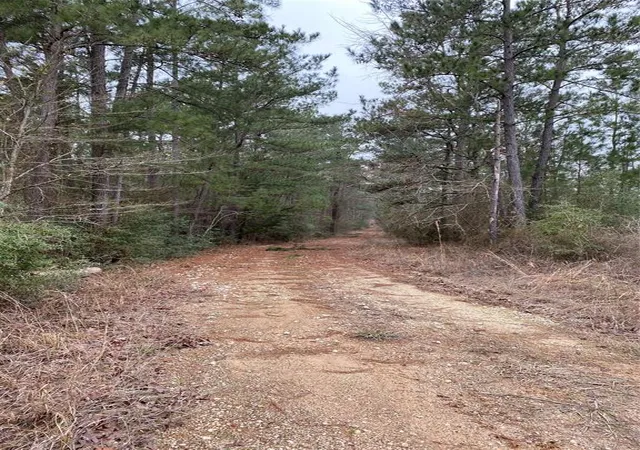Photo 3 of Land for sale at Tbd Parcel 6250, Lovelady, TX 75851 | MLS# 12934737 | Listing updated on 2026-05-03