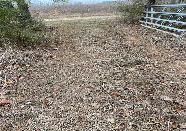 Photo 3 of Land for sale at Tbd Parcel 6250, Lovelady, TX 75851 | MLS# 12934737 | Listing updated on 2026-05-03