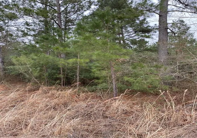Photo 4 of Land for sale at Tbd Parcel 6250, Lovelady, TX 75851 | MLS# 12934737 | Listing updated on 2026-05-03