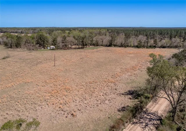 Homes for sale in Groveton, TX | Na Kickapoo Road, Groveton, TX 75845 | MLS# 10005360