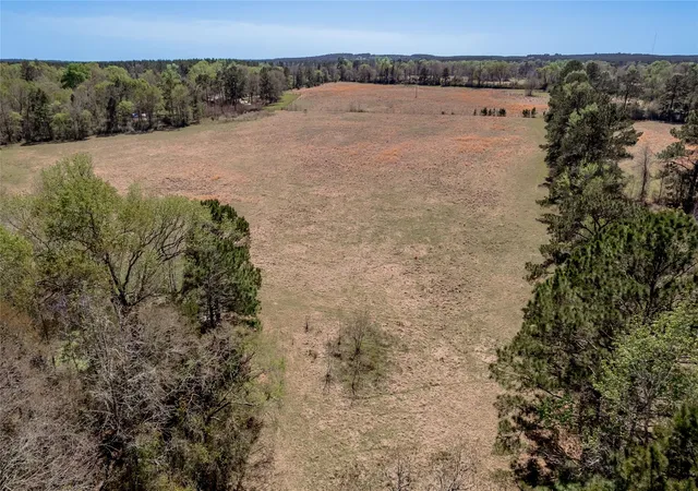 Homes for sale in Groveton, TX | Na Kickapoo Road, Groveton, TX 75845 | MLS# 10005360