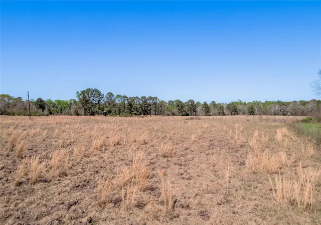 Homes for sale in Groveton, TX | Na Kickapoo Road, Groveton, TX 75845 | MLS# 10005360