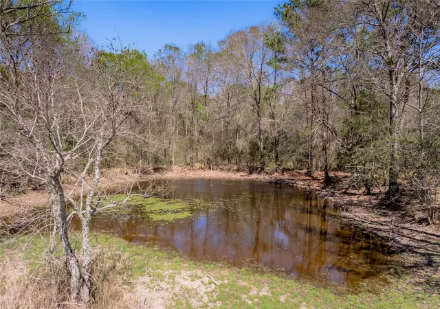 Homes for sale in Groveton, TX | Na Kickapoo Road, Groveton, TX 75845 | MLS# 10005360