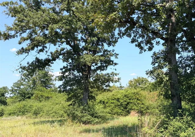 Photo 2 of Land for sale at 2447 Cr 261, Buffalo, TX 75831 | MLS# 76144985 | Listing updated on 2026-08-27