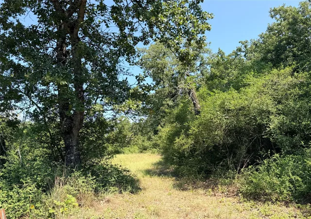Photo 2 of Land for sale at 2447 Cr 261, Buffalo, TX 75831 | MLS# 76144985 | Listing updated on 2026-08-27