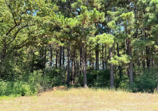Photo 3 of Land for sale at 2447 Cr 261, Buffalo, TX 75831 | MLS# 76144985 | Listing updated on 2026-08-27