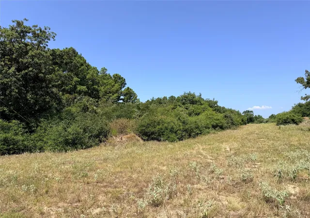 Photo 4 of Land for sale at 2447 Cr 261, Buffalo, TX 75831 | MLS# 76144985 | Listing updated on 2026-08-27