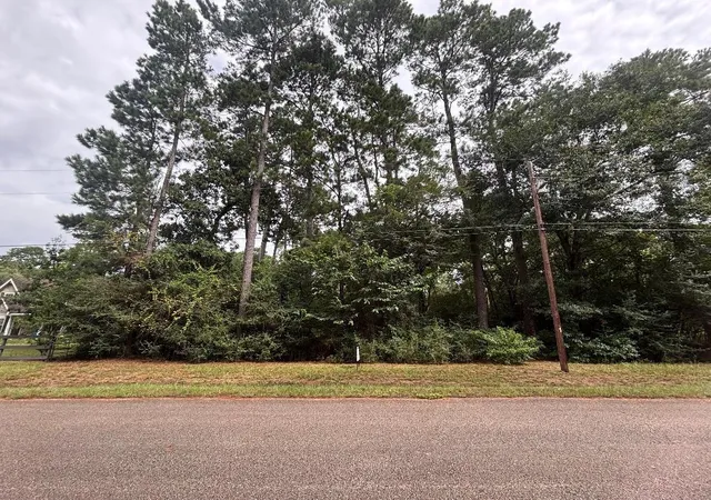 1st image of Lot 126 Fantail Street, Magnolia, TX 77355 | MLS# 87250900