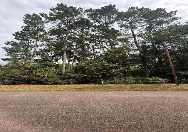 2nd image of Lot 126 Fantail Street, Magnolia, TX 77355 | MLS# 87250900