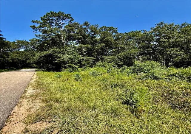2nd image of Tbd Lot 1 Rolling Hills Dr, Porter, TX 77365 | MLS# 86366390