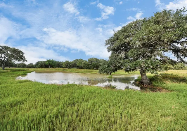 2nd image of 0 Gadwall, Columbus, TX 78934 | MLS# 18985777