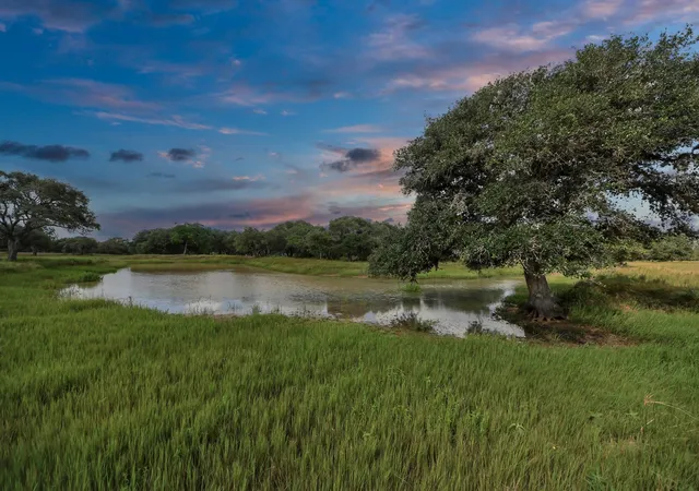 Photo 3 of Land for sale at Tbd Wild Wing Preserve Lot 62 Gadwall, Columbus, TX 78934 | MLS# 18985777 | Listing updated on 2026-09-01