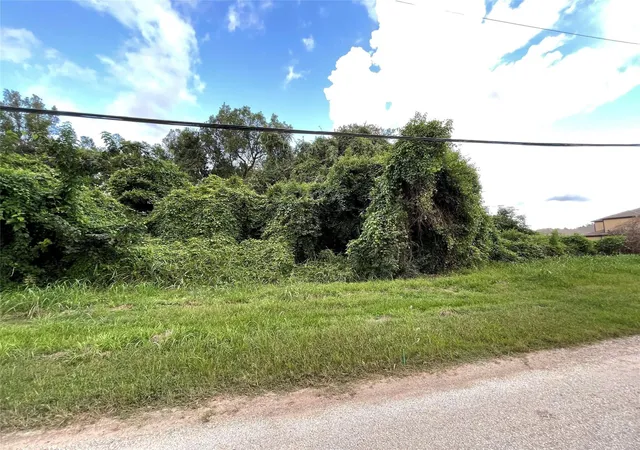 3rd image of 0 Colbert St, Dayton, TX 77535 | MLS# 51862955