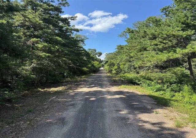 Photo 3 of Land for sale at 15661 Hickory Ln, Splendora, TX 77372 | MLS# 29518237 | Listing updated on 2026-07-01