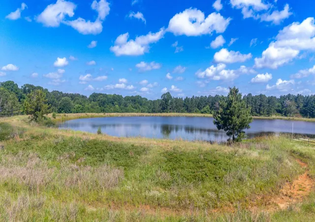 Photo 3 of Land for sale at 1950 Buckhorn Crk Dr, Crockett, TX 75835 | MLS# 98832156 | Listing updated on 2026-10-09