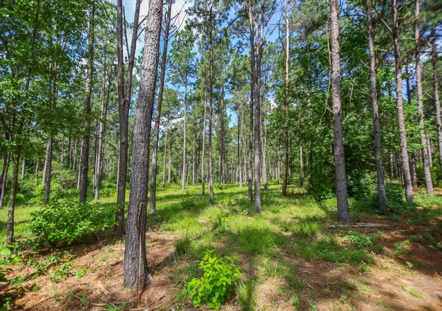 Photo 3 of Land for sale at 1950 Buckhorn Crk Dr, Crockett, TX 75835 | MLS# 98832156 | Listing updated on 2026-10-09