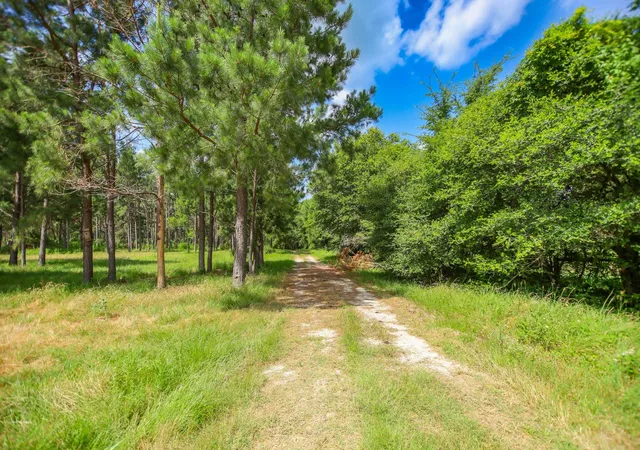 Photo 4 of Land for sale at 1950 Buckhorn Crk Dr, Crockett, TX 75835 | MLS# 98832156 | Listing updated on 2026-10-09