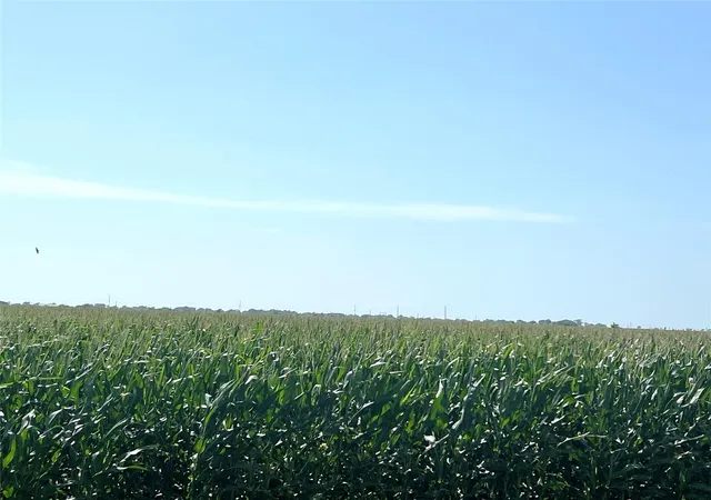 Photo 1 of Land for sale at 00 County Road 403, El Campo, TX 77437 | MLS# 618336 | Listing updated on 2026-05-17