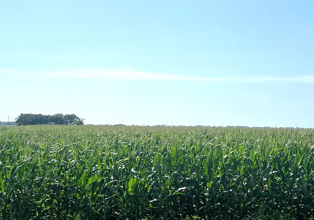 Photo 2 of Land for sale at 00 County Road 403, El Campo, TX 77437 | MLS# 618336 | Listing updated on 2026-05-17