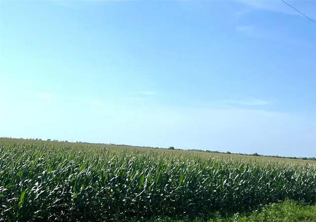 Photo 3 of Land for sale at 00 County Road 403, El Campo, TX 77437 | MLS# 618336 | Listing updated on 2026-05-17