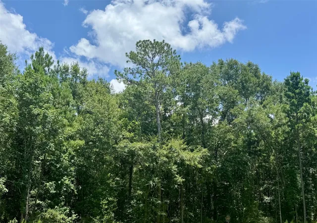 1st image of Lot 14 Riverstone Dr, Livingston, TX 77351 | MLS# 39344831