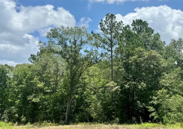 2nd image of Lot 14 Riverstone Dr, Livingston, TX 77351 | MLS# 39344831