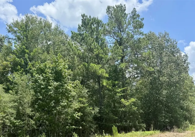 3rd image of Lot 14 Riverstone Dr, Livingston, TX 77351 | MLS# 39344831