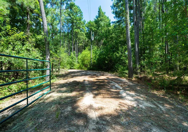 3rd image of 801 Pelican Rd, Shepherd, TX 77371 | MLS# 92398774