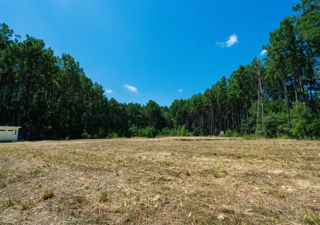 4th image of 801 Pelican Rd, Shepherd, TX 77371 | MLS# 92398774
