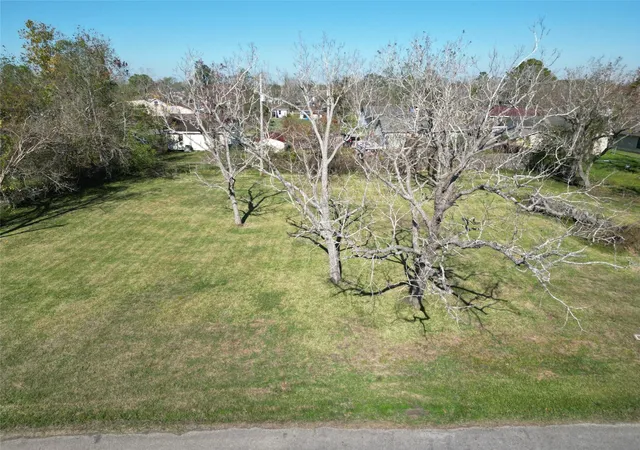 Photo 1 of Land for sale at 409 Carlton St, Brazoria, TX 77422 | MLS# 92256702 | Listing updated on 2026-09-28