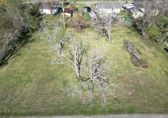 Photo 4 of Land for sale at 409 Carlton St, Brazoria, TX 77422 | MLS# 92256702 | Listing updated on 2026-09-28