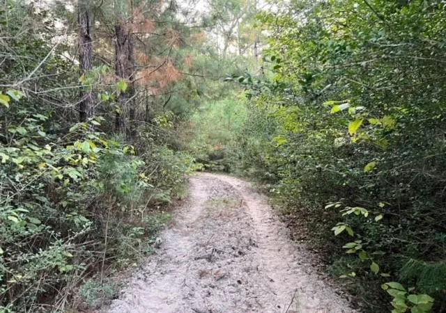 2nd image of 290 Red Holw, Livingston, TX 77351 | MLS# 51143108