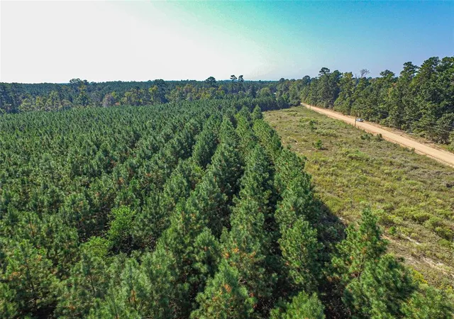 39th image of 290 Red Holw, Livingston, TX 77351 | MLS# 51143108