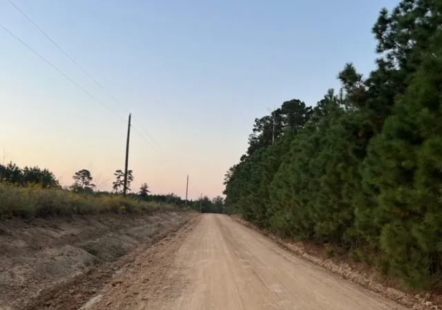4th image of 290 Red Holw, Livingston, TX 77351 | MLS# 51143108