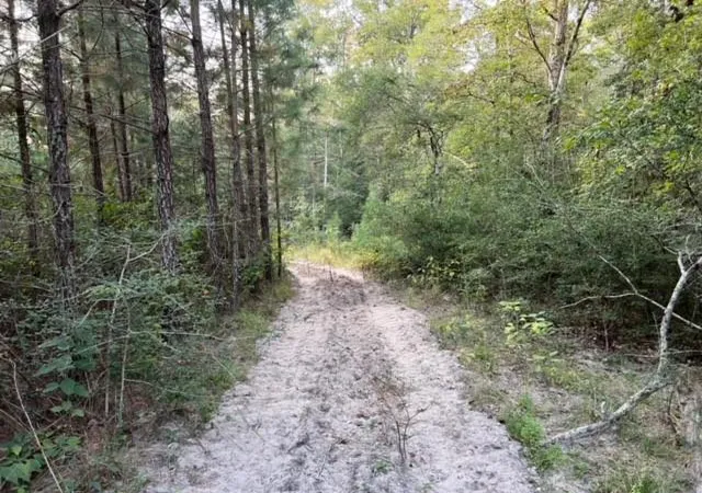 5th image of 290 Red Holw, Livingston, TX 77351 | MLS# 51143108