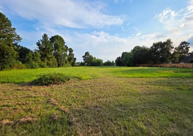2nd image of 0 La Fouche Dr, Tomball, TX 77377 | MLS# 56984037