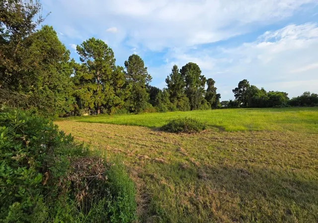 6th image of 0 La Fouche Dr, Tomball, TX 77377 | MLS# 56984037