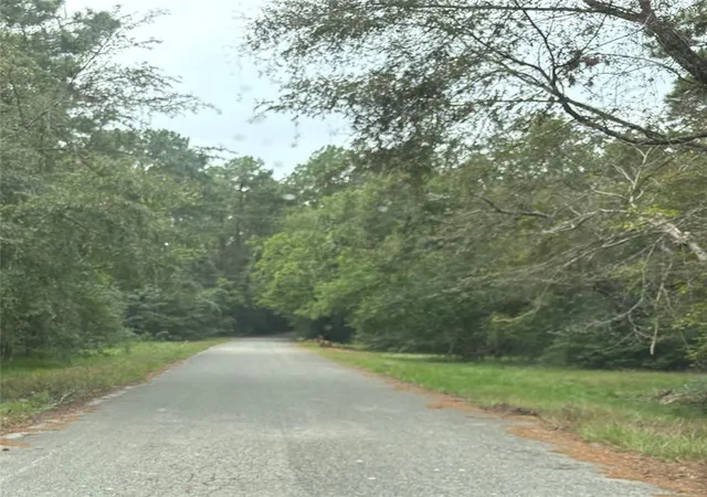 Photo 3 of Land for sale at 19722 Belle Isle Dr, Humble, TX 77338 | MLS# 24190002 | Listing updated on 2026-04-12