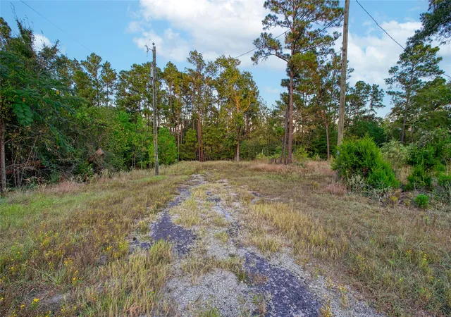 Photo 1 of Land for sale at 184 Willow Dr, Onalaska, TX 77360 | MLS# 91715918 | Listing updated on 2026-07-15
