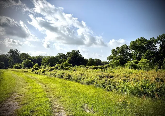 3rd image of 0 Fm 442, Boling, TX 77420 | MLS# 65831258