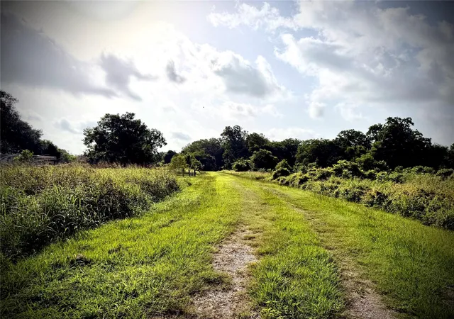 4th image of 0 Fm 442, Boling, TX 77420 | MLS# 65831258