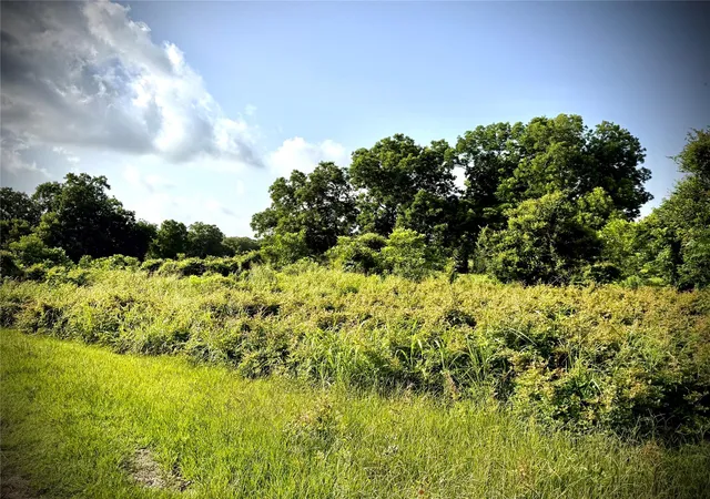 5th image of 0 Fm 442, Boling, TX 77420 | MLS# 65831258