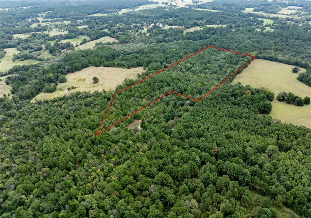 Homes for sale in Grapeland, TX | 22 Acr Private Road 5040, Grapeland, TX 75844 | MLS# 65295342