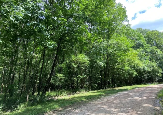 Photo 2 of Land for sale at Tbd Royal Ests Dr, Conroe, TX 77303 | MLS# 64811349 | Listing updated on 2026-03-25