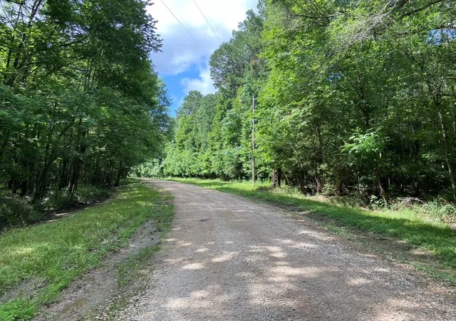 Photo 3 of Land for sale at Tbd Royal Ests Dr, Conroe, TX 77303 | MLS# 64811349 | Listing updated on 2026-03-25