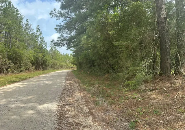 Homes for sale in Buna, TX | Tbd Cr 3114, Buna, TX 77612 | MLS# 26024154