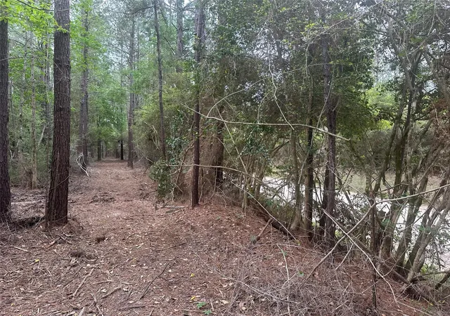 Homes for sale in Buna, TX | Tbd Cr 3114, Buna, TX 77612 | MLS# 26024154