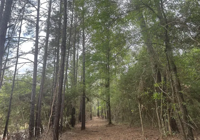 Homes for sale in Buna, TX | Tbd Cr 3114, Buna, TX 77612 | MLS# 26024154