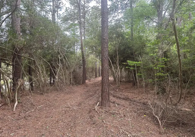 Homes for sale in Buna, TX | Tbd Cr 3114, Buna, TX 77612 | MLS# 26024154