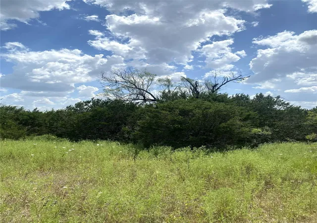 11th image of 220 Private Road 16025, Jonesboro, TX 76538 | MLS# 78106184